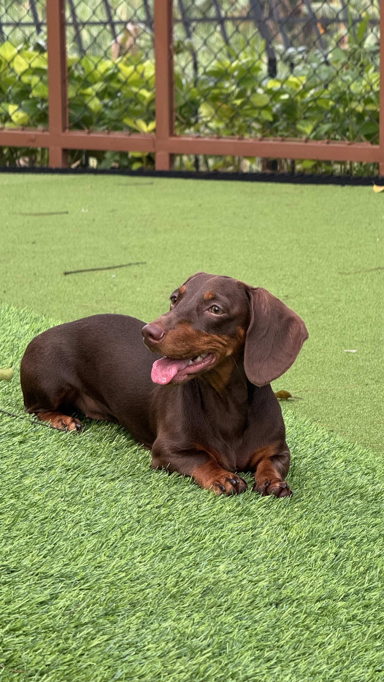 @Stefan Pharamond