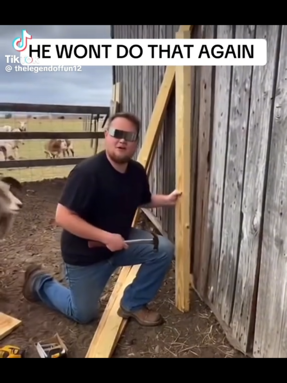 @Funny Video Reels