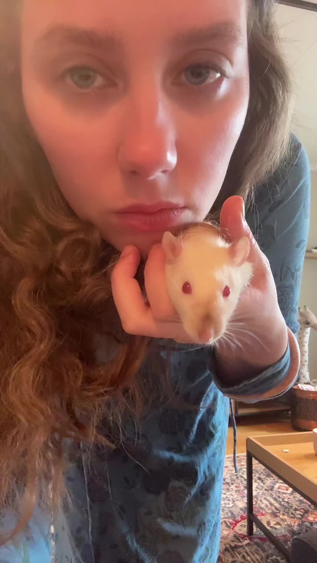 @Elinaskoog