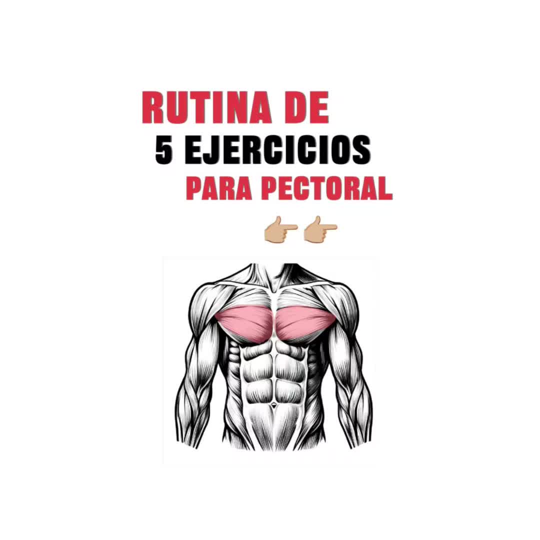 @FitnessRZ 🧬