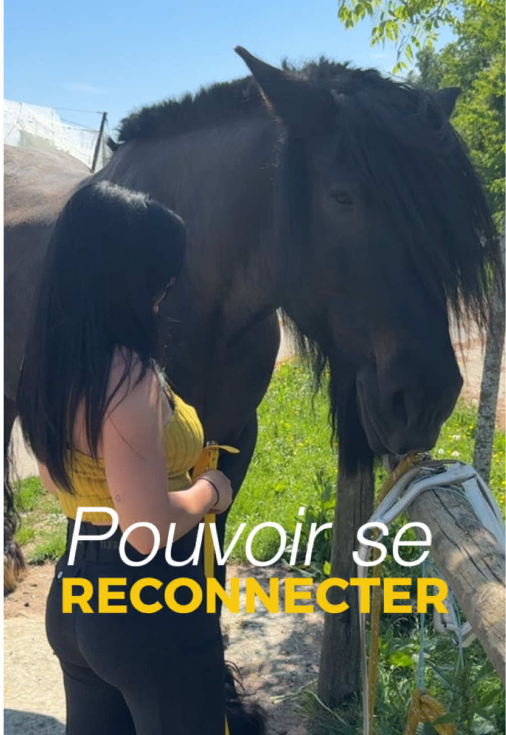 @Untraitdecheval