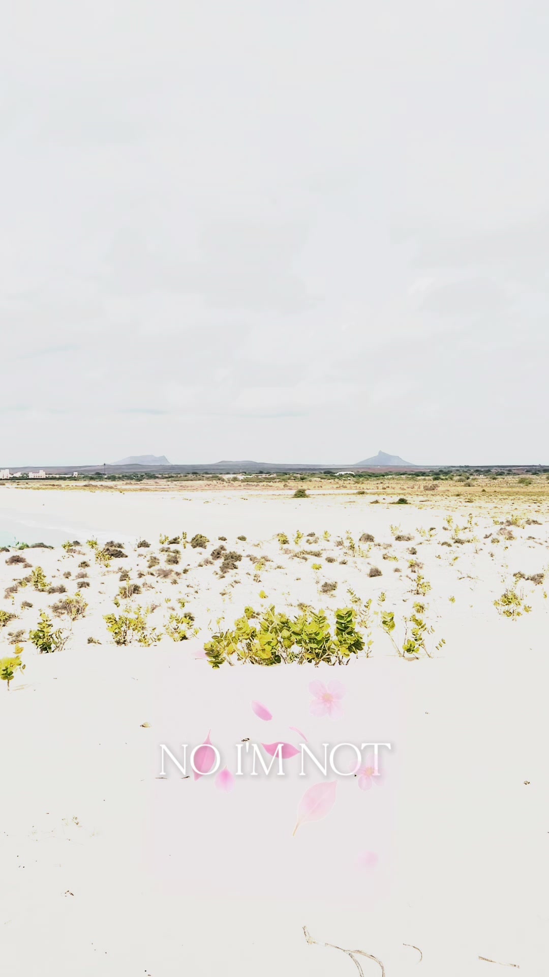 @trini_traveller