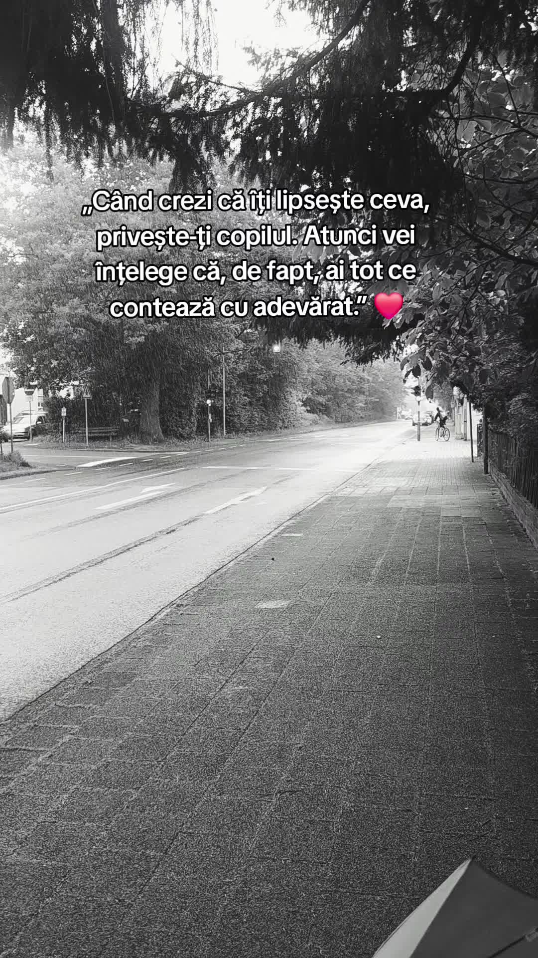 @Șerban Roxana Maria🌸