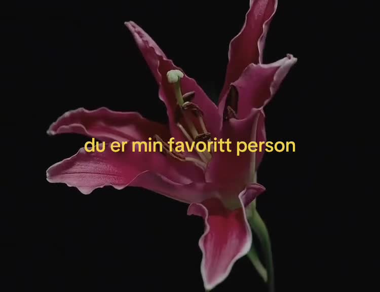 @r&aring;tten mango
