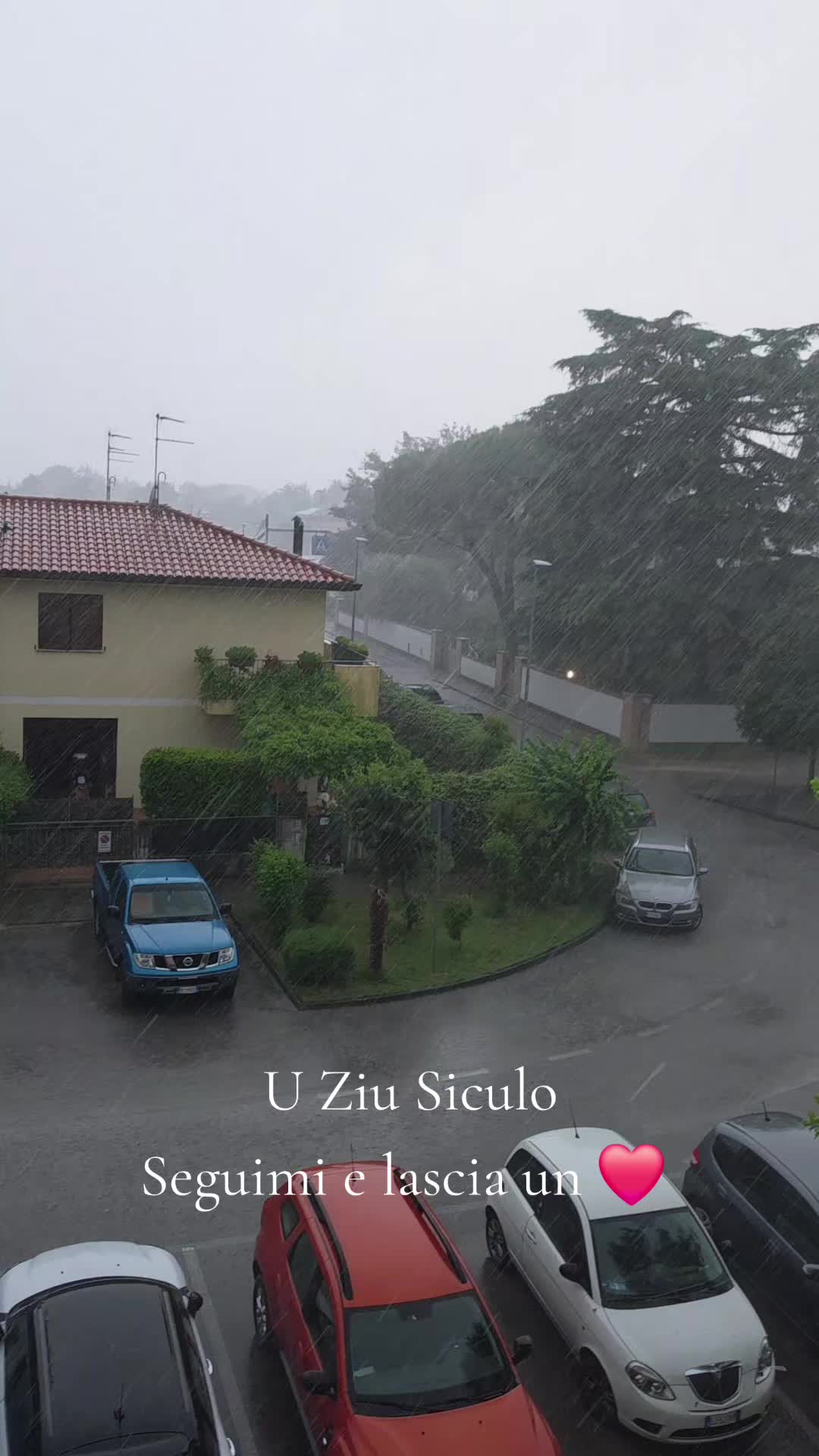@U ZIU SICULO_OFFICIAL🔹️