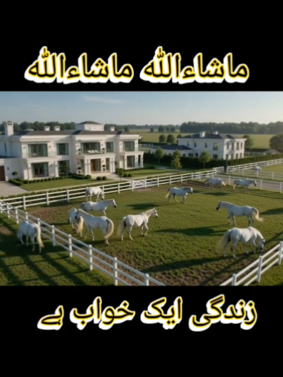 @Tahir Khan