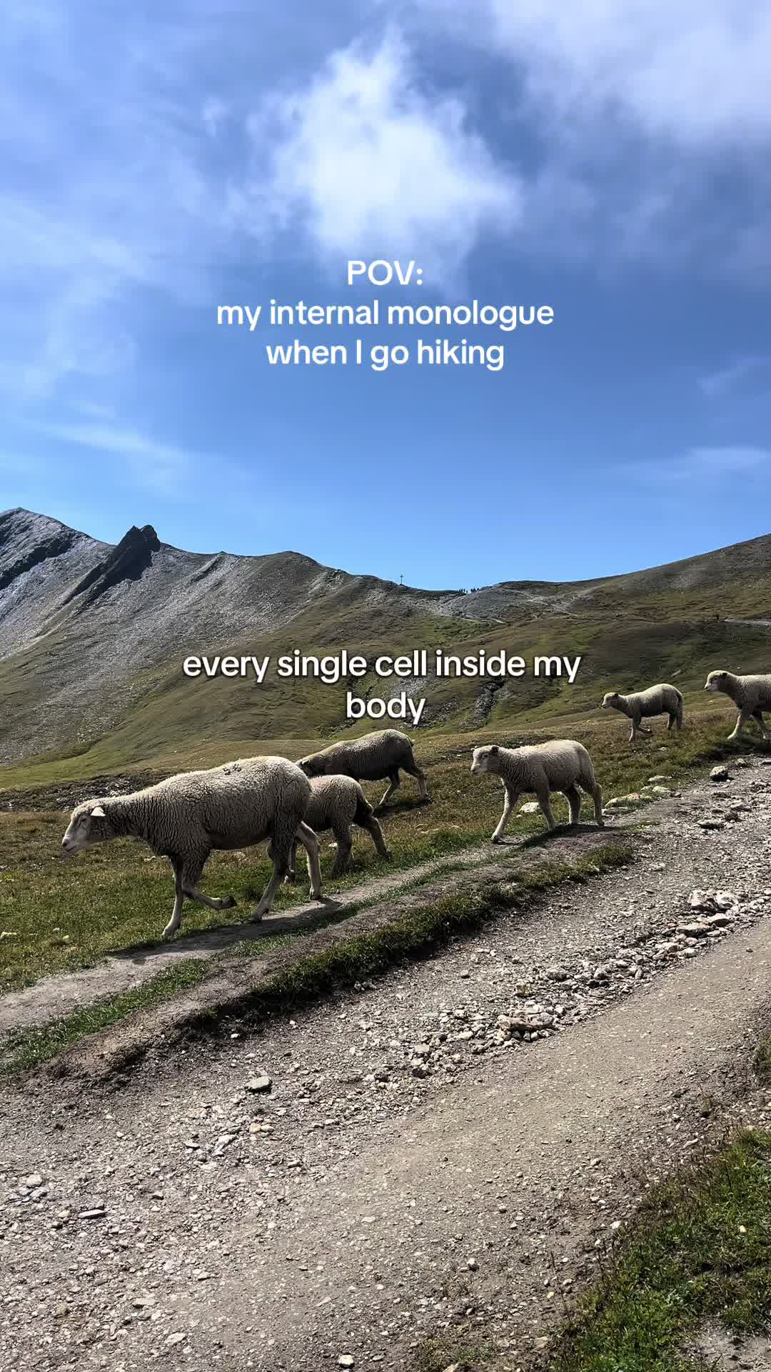 @Jen 🌿