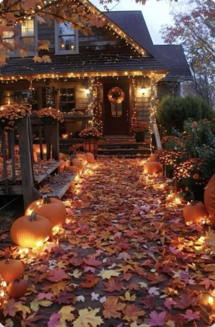 @🎃𝕽𝖆𝖈𝖍𝖊𝖑🦇