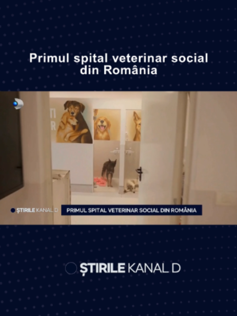 @Stirile Kanal D
