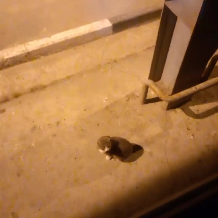 @Евгений