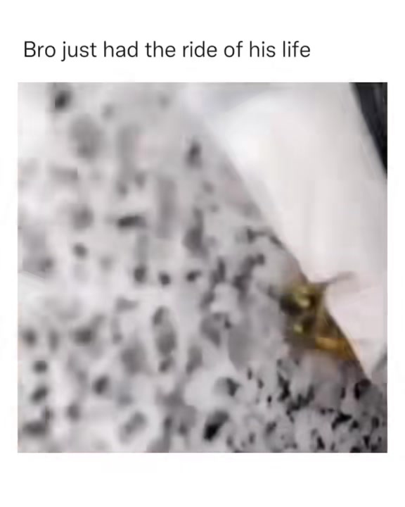 @TightMemes 👌