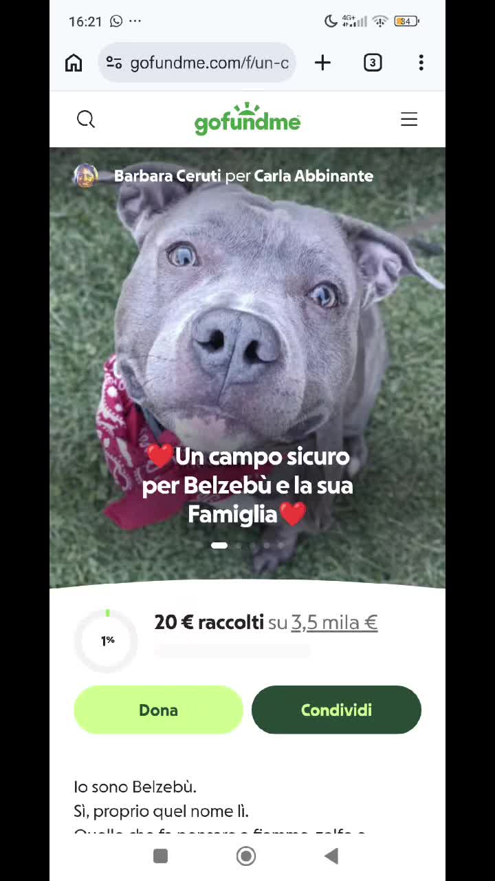@Delibu'