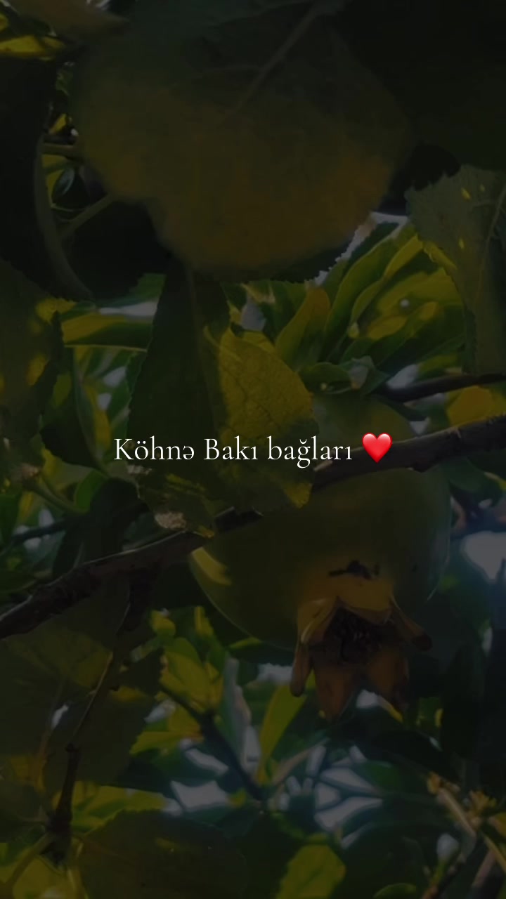 @N.A.