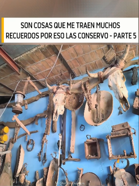 @Videos De Mi Querido Zacatecas