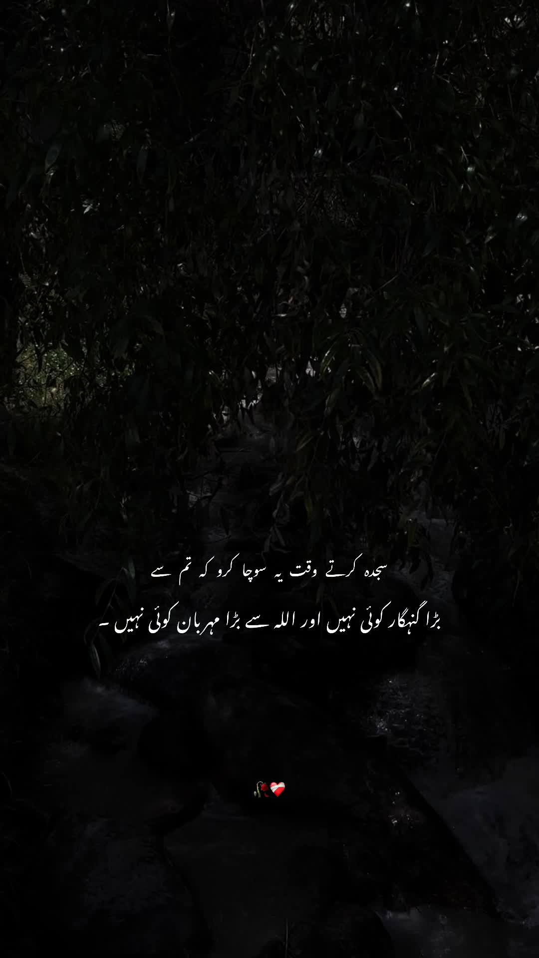 @عباسی🥀