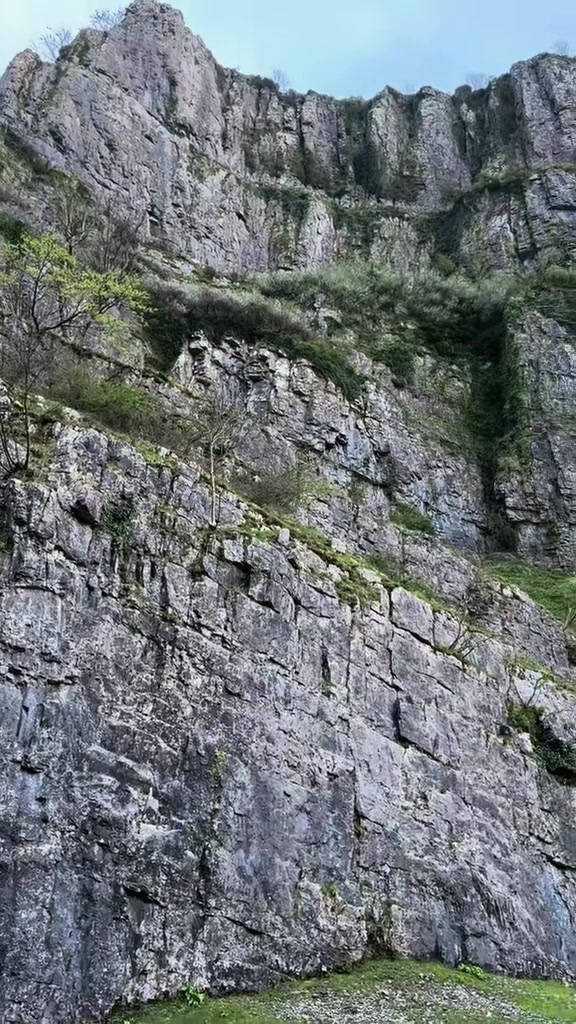 @𝑾𝑻 🚶&zwj;♂️