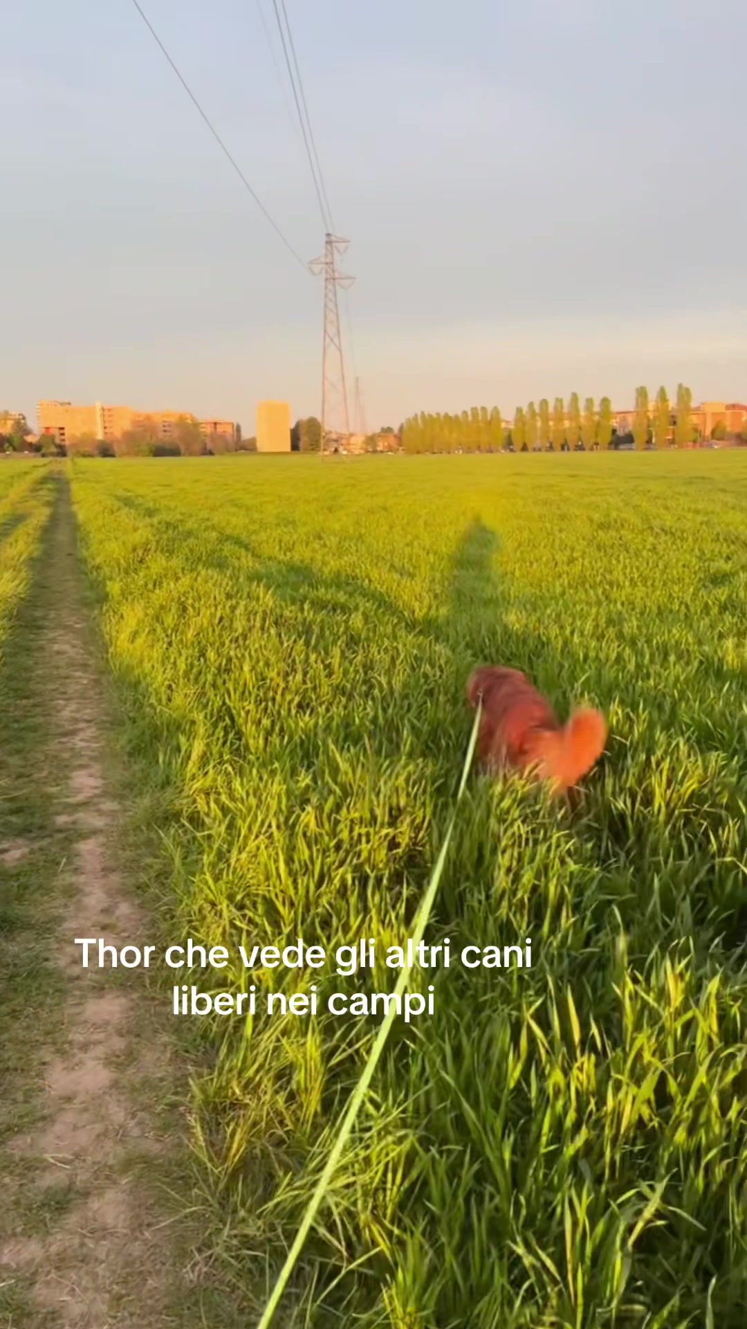 @Chiara Guidetti