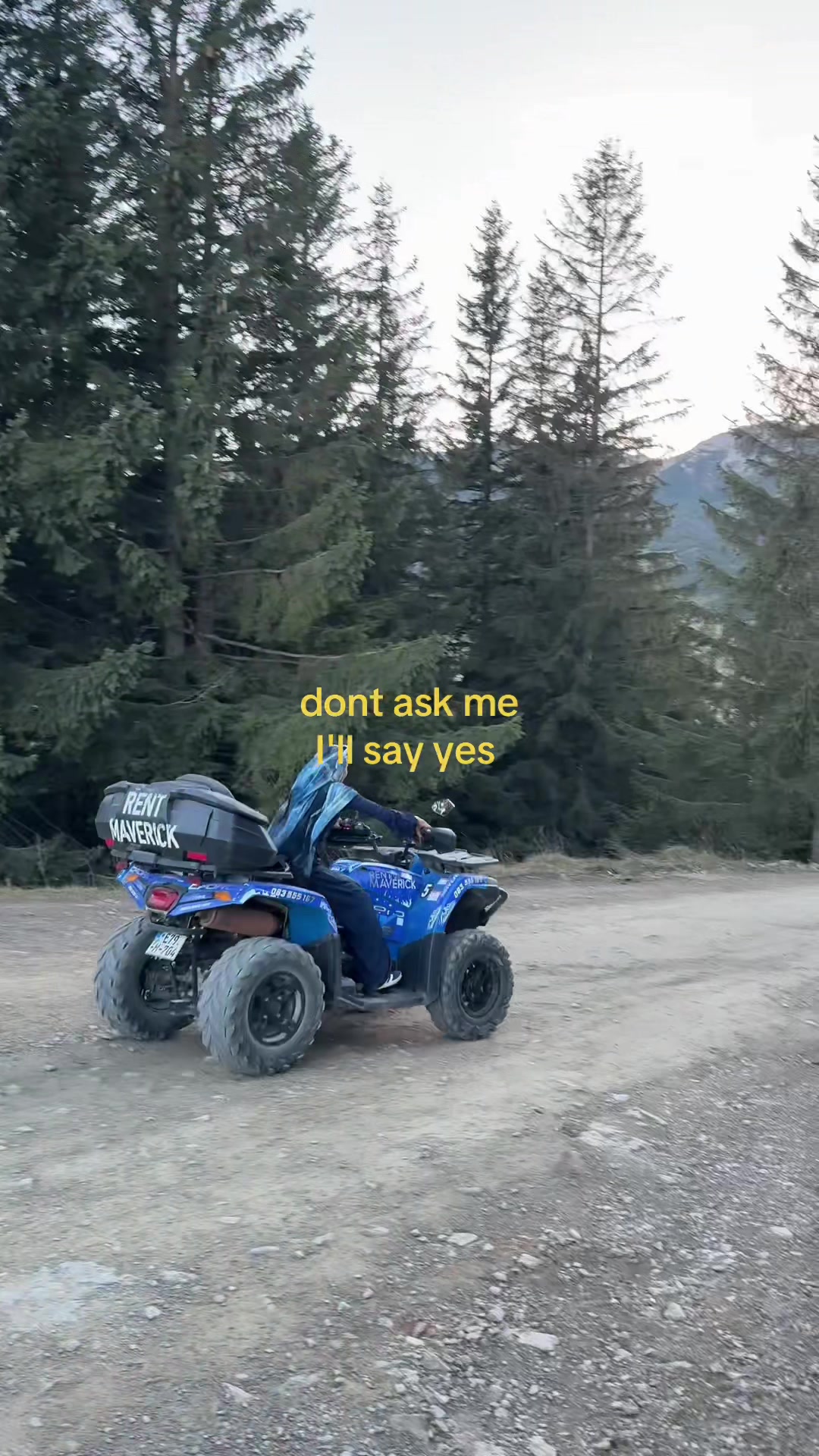 @Ayla
