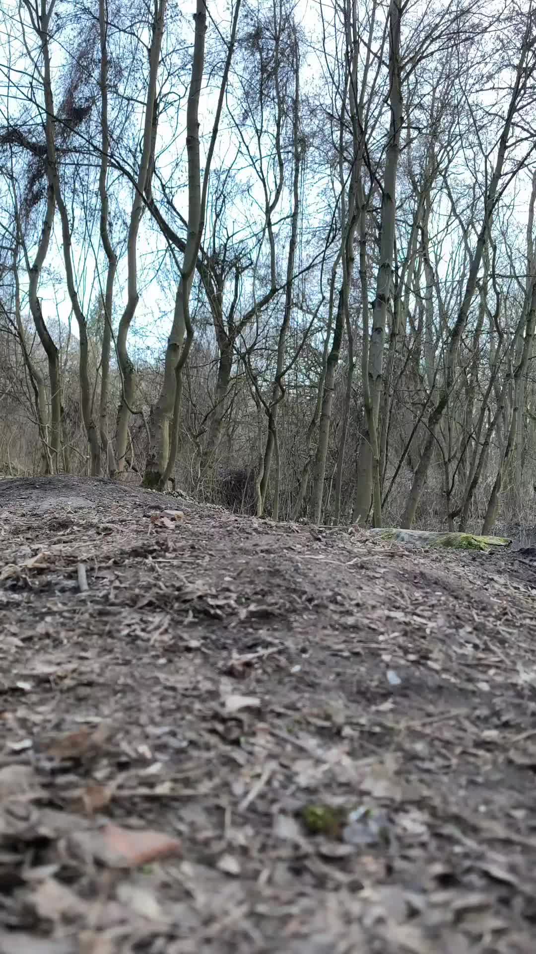 @LX_On_MTB