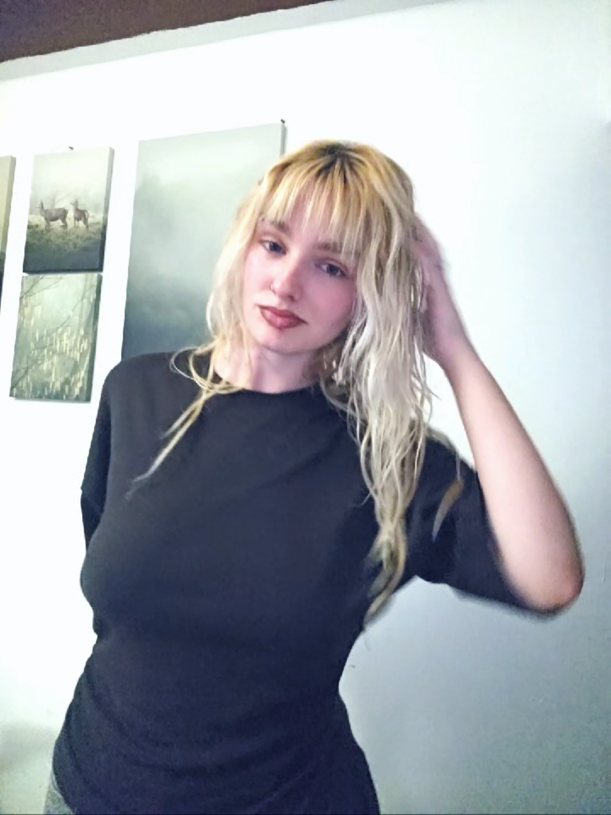 @lauritaa