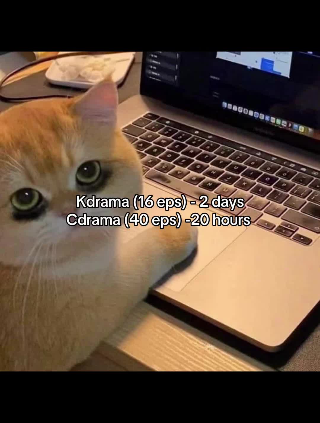 @hiddenmoon97