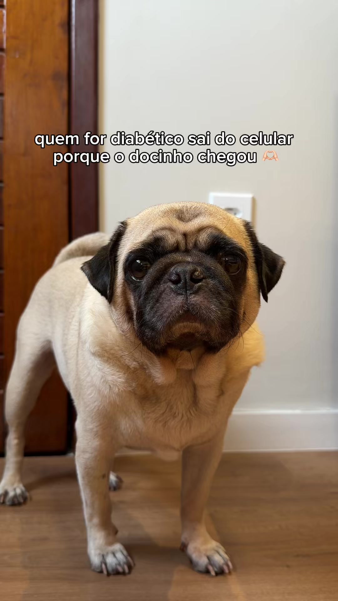 @FRANKINHO