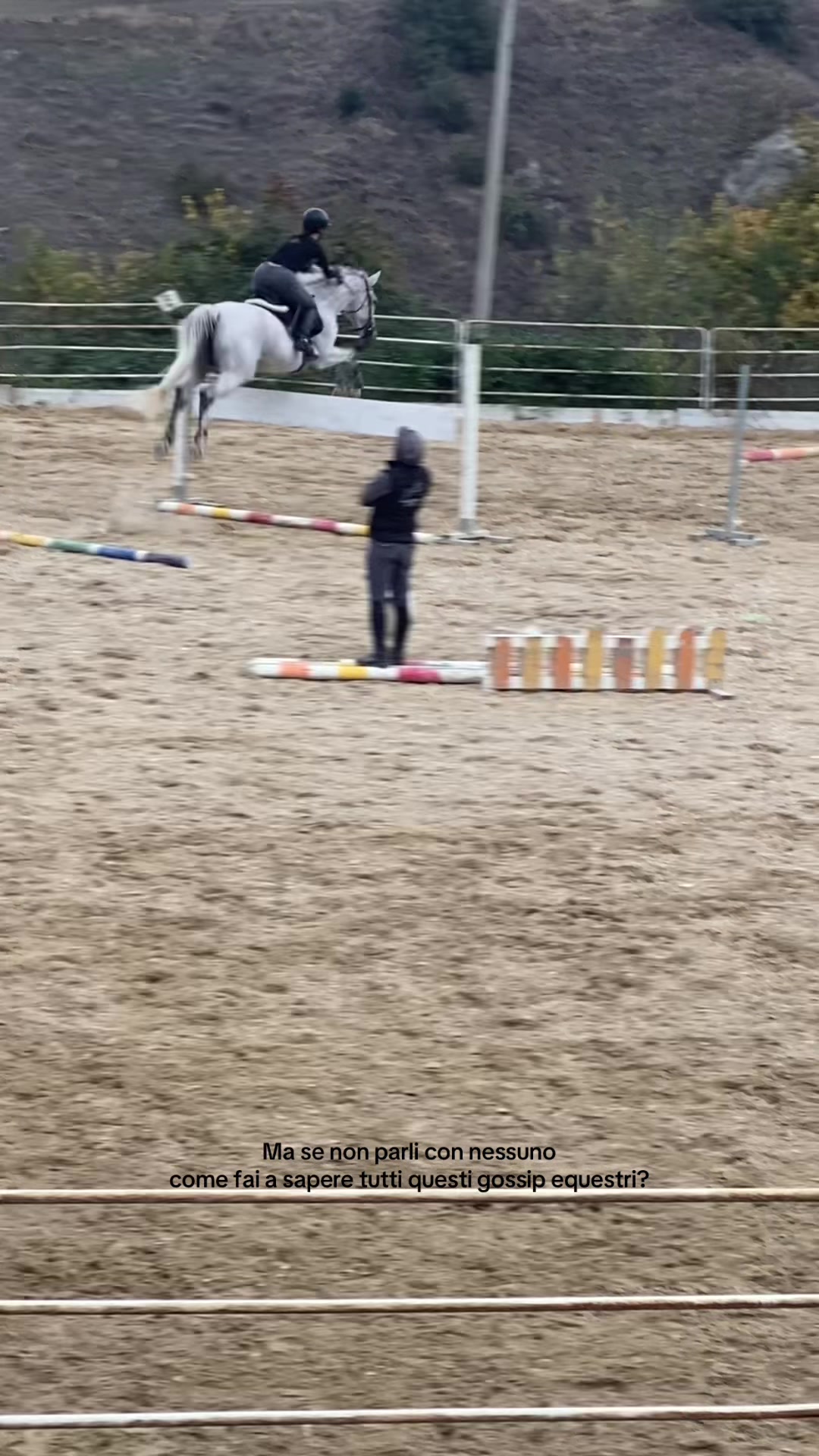 @equestrian_ale