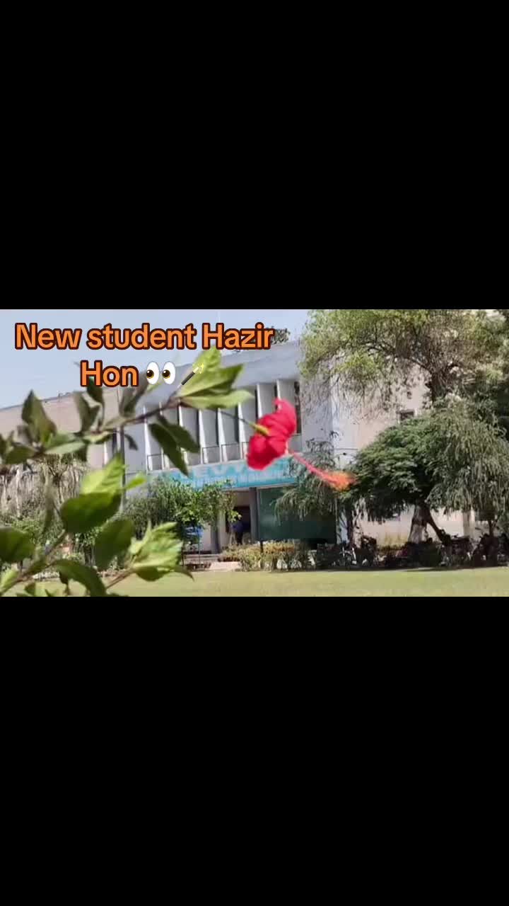 @mr.gct5