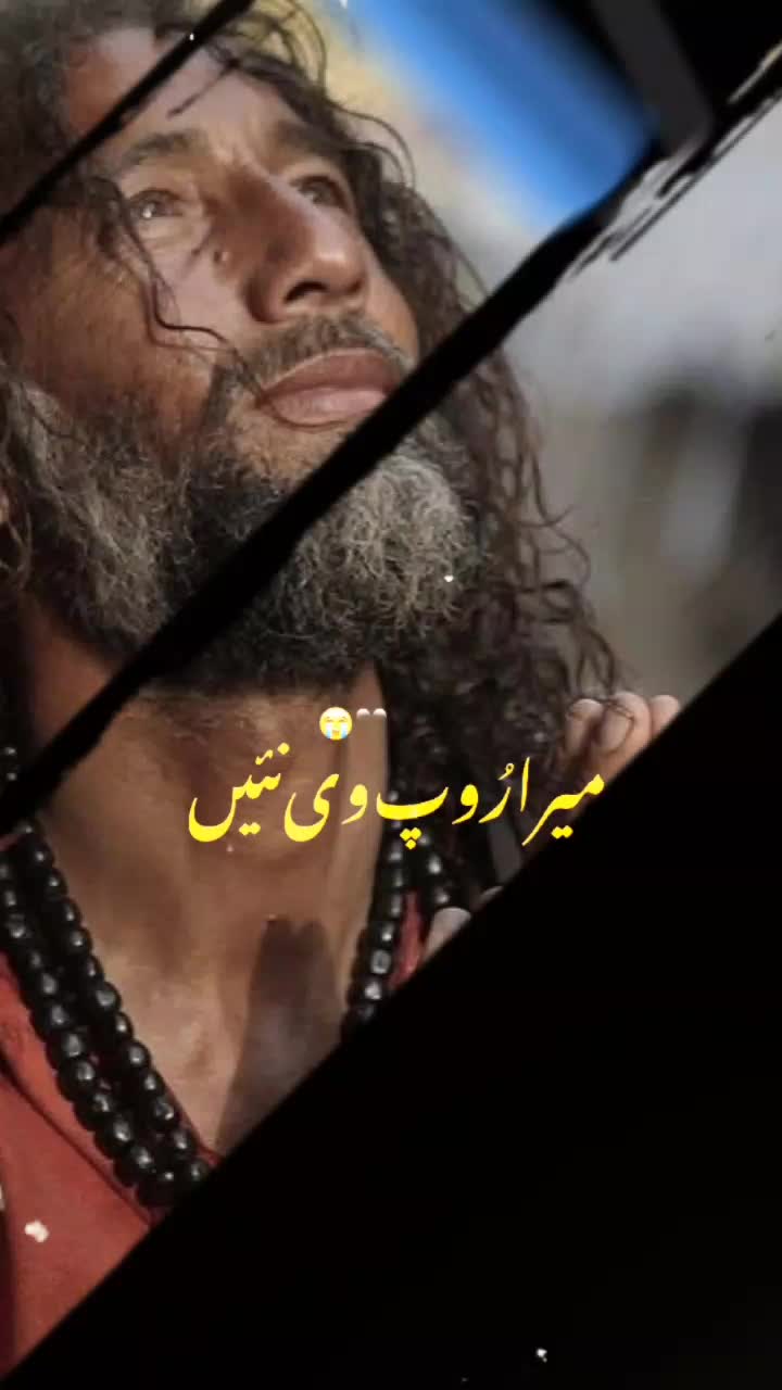 @Zahra Hussain