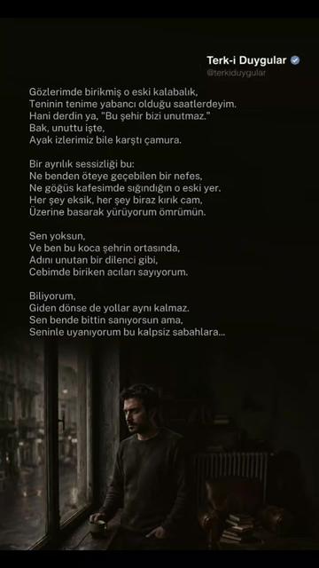 @Terk-i Duygular