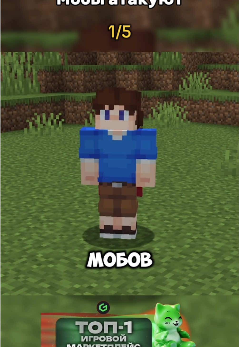 @Shonecky