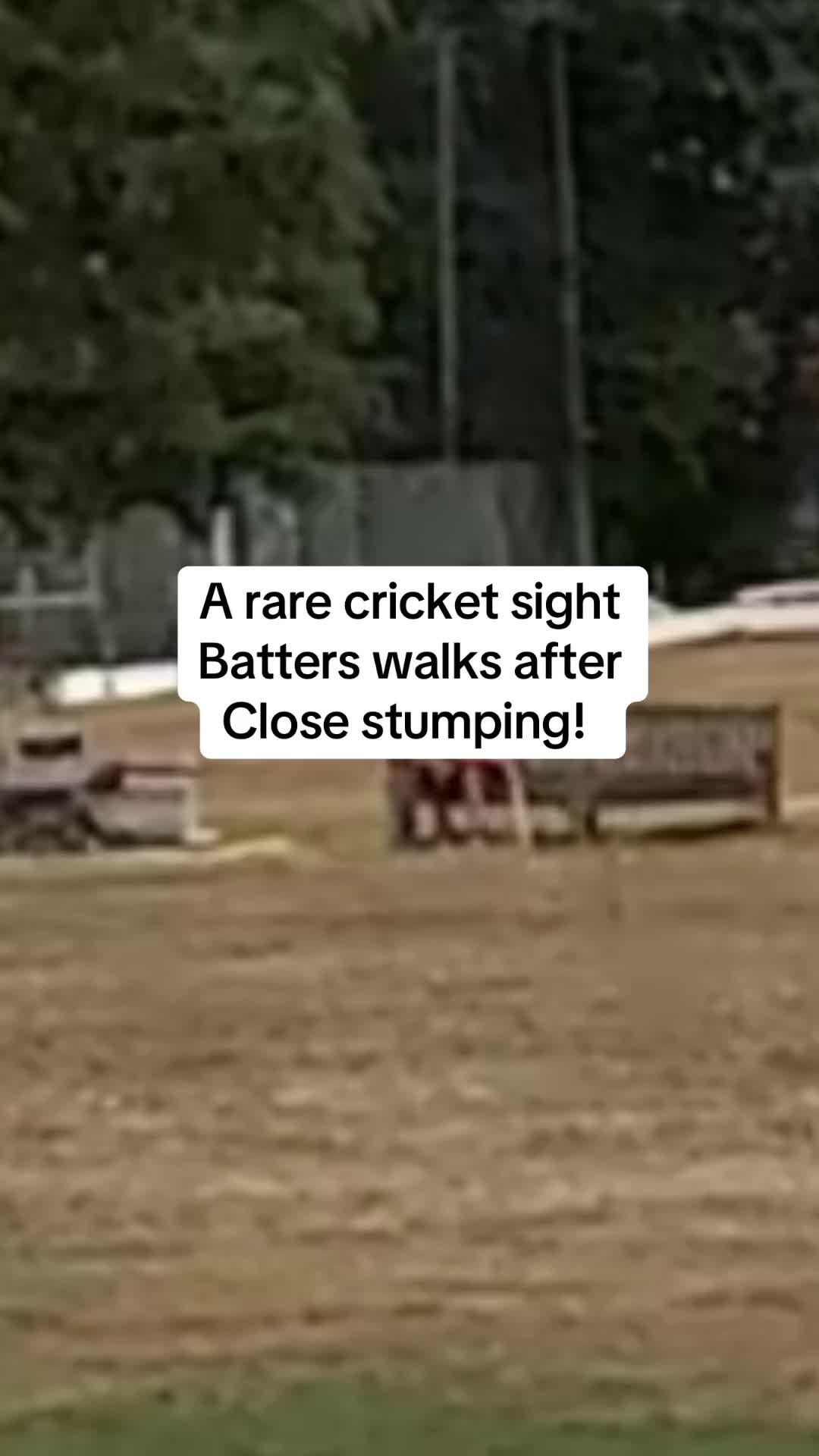 @MySide of Cricket