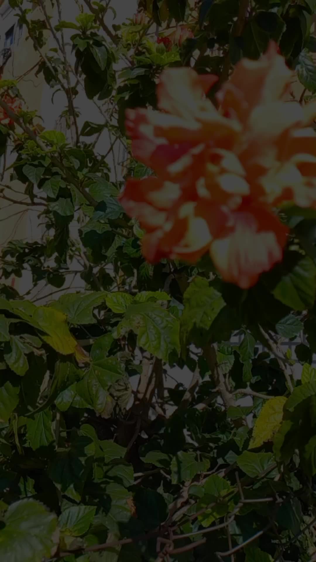@لمسة فنانة