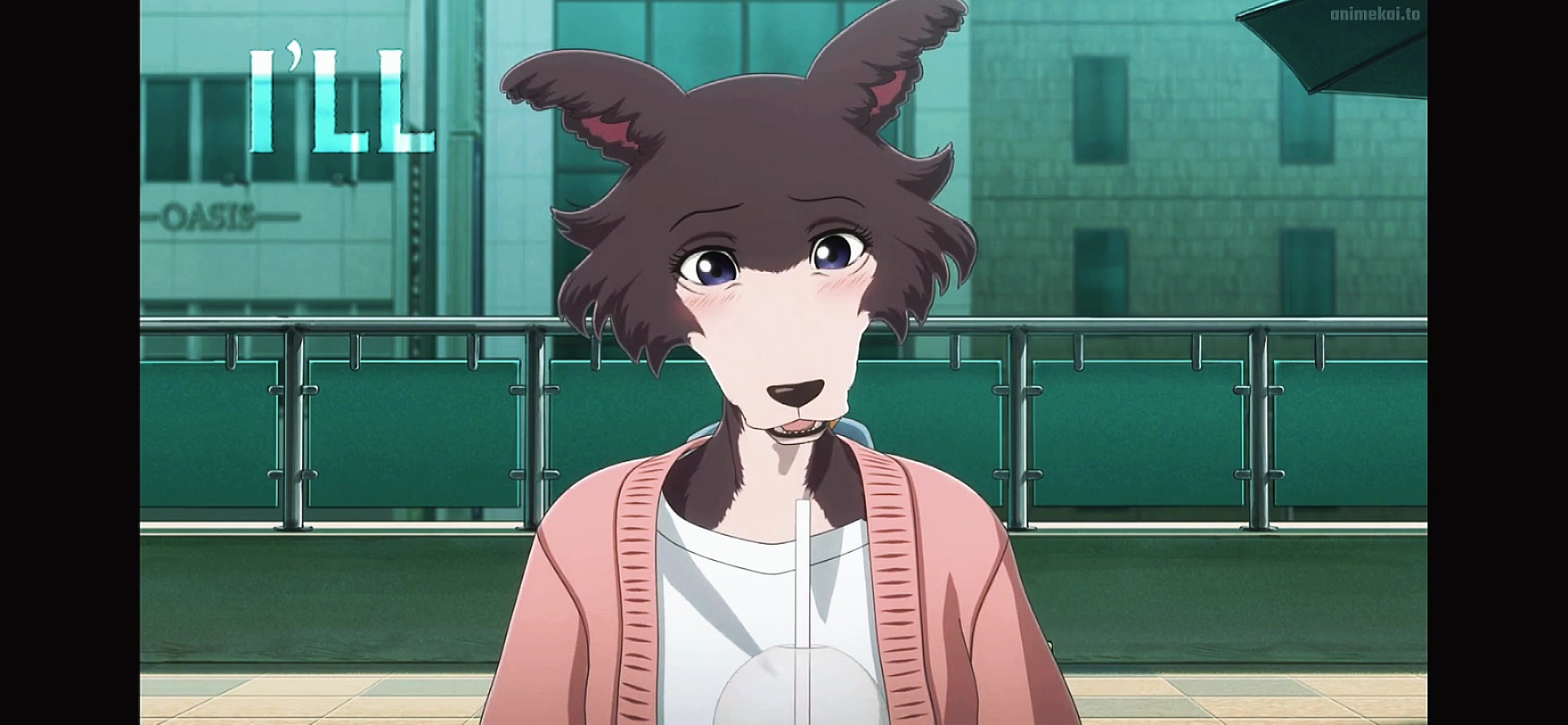 @|🐾 &bull; ( 🦴 レゴシ 🦴 ) &bull; 🐺|