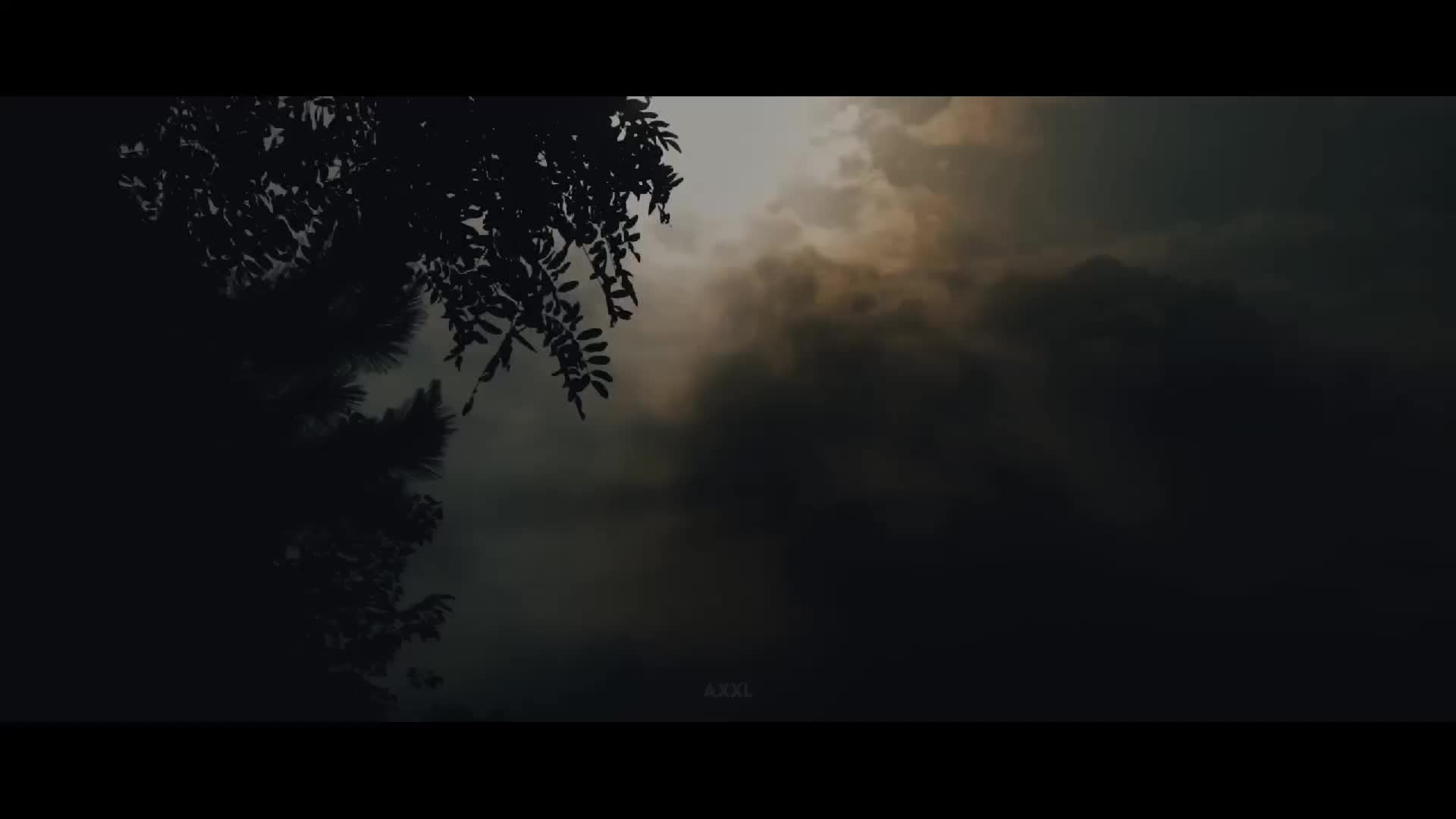 @𝐀𝐱𝐱𝐥 𝐋𝐲𝐫𝐢𝐜𝐬 