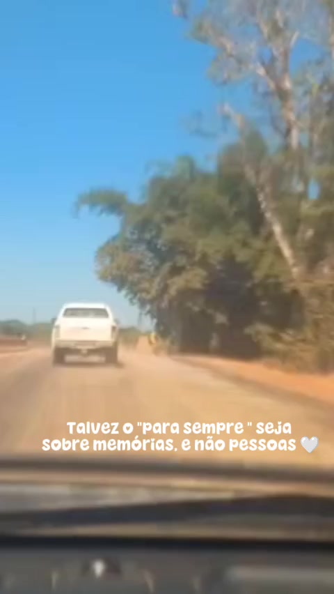 @Sueli Rover643