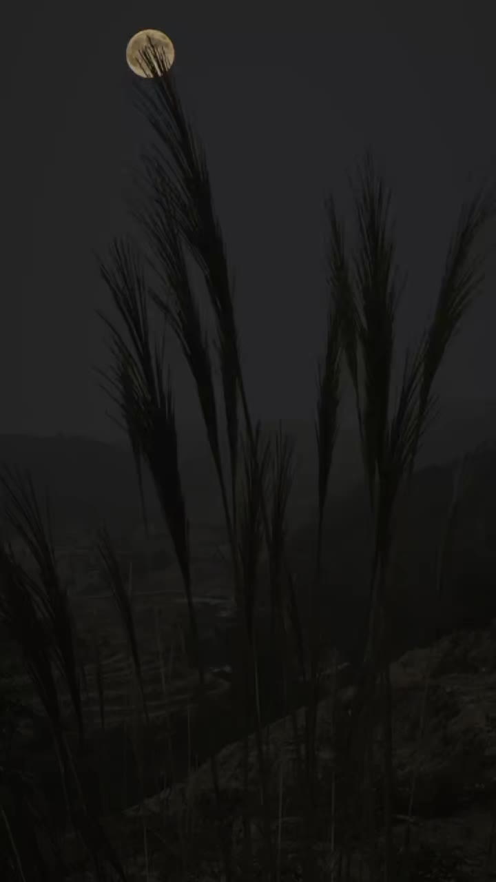 @ℙ𝕣𝕚𝕟𝕔𝕖𝕤𝕤👑𝑀🥀🫶