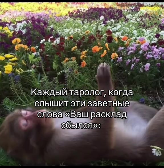 @тг: diamantzzz