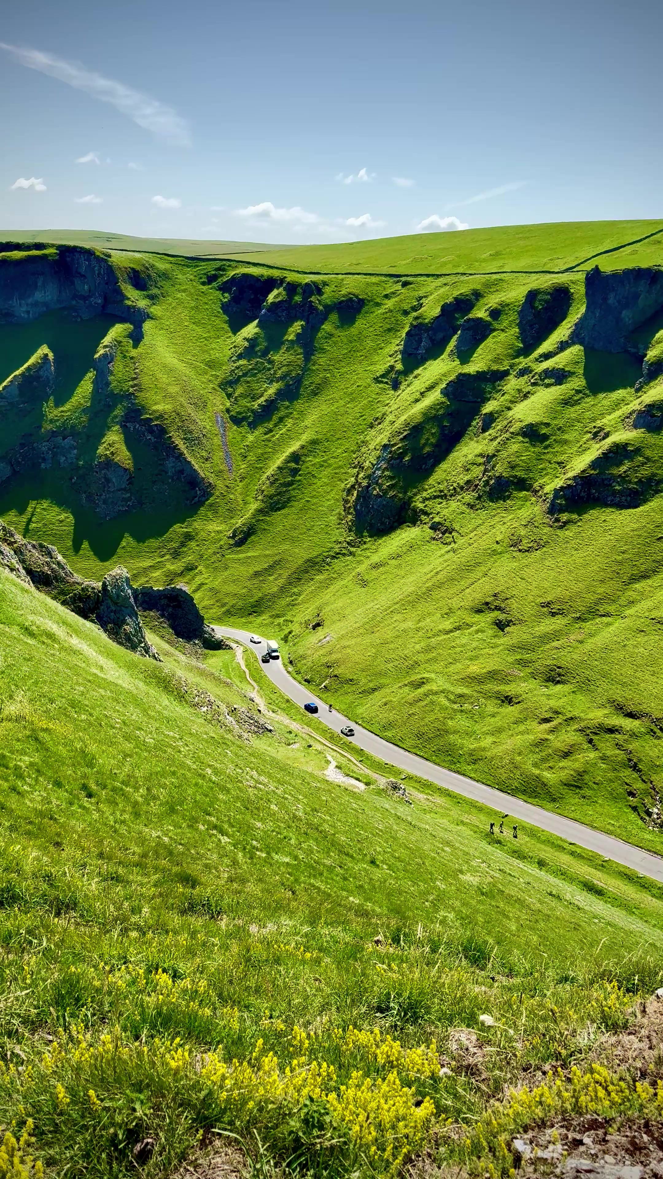 @Nature lover