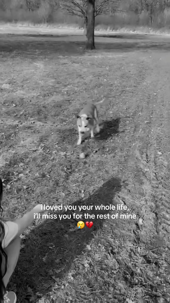 @miaa💕