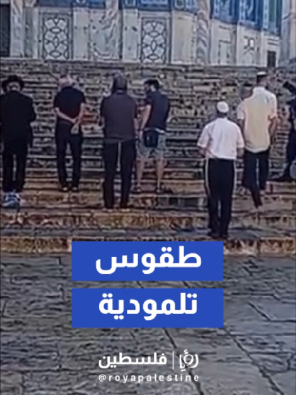 @Royapalestine رؤيا فلسطين