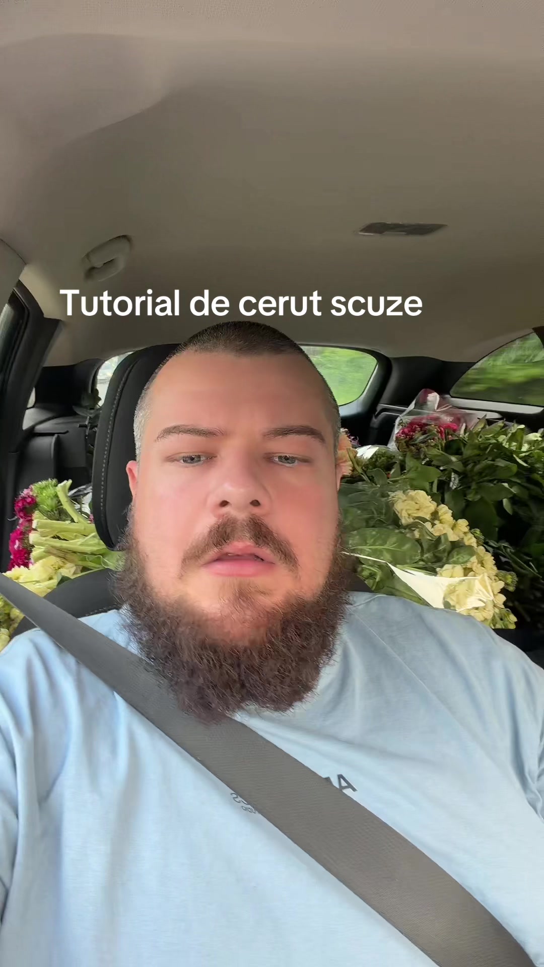 @WLAD THEODOR