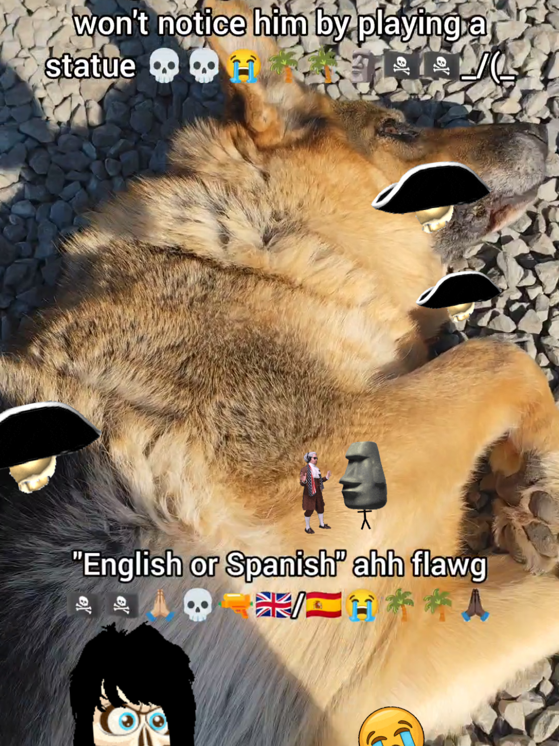 @Bro ๐ซ๐ฎ๐โ