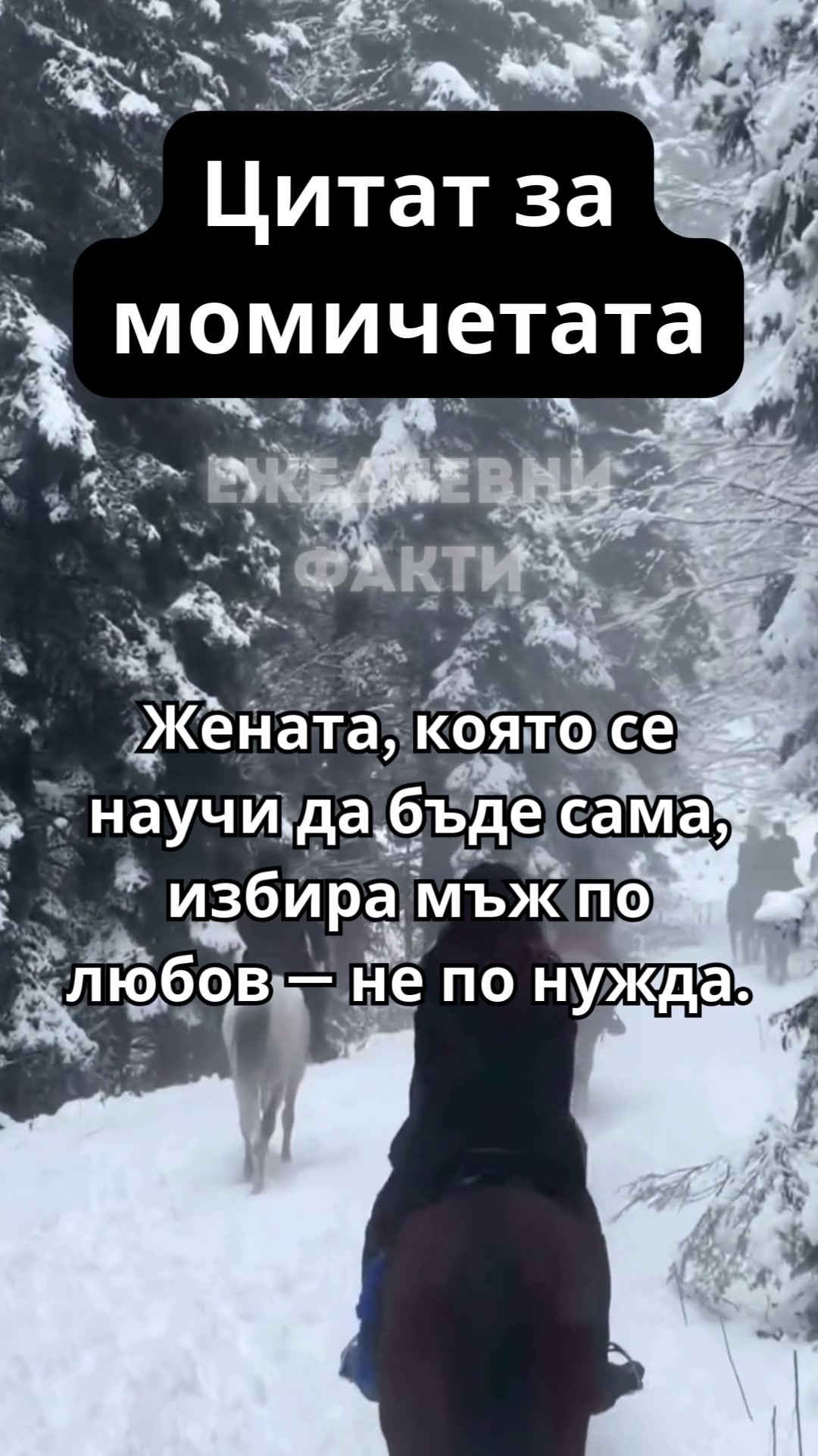 @Ежедневни факти
