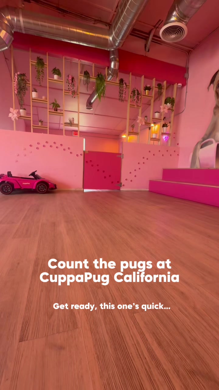 @CuppaPug