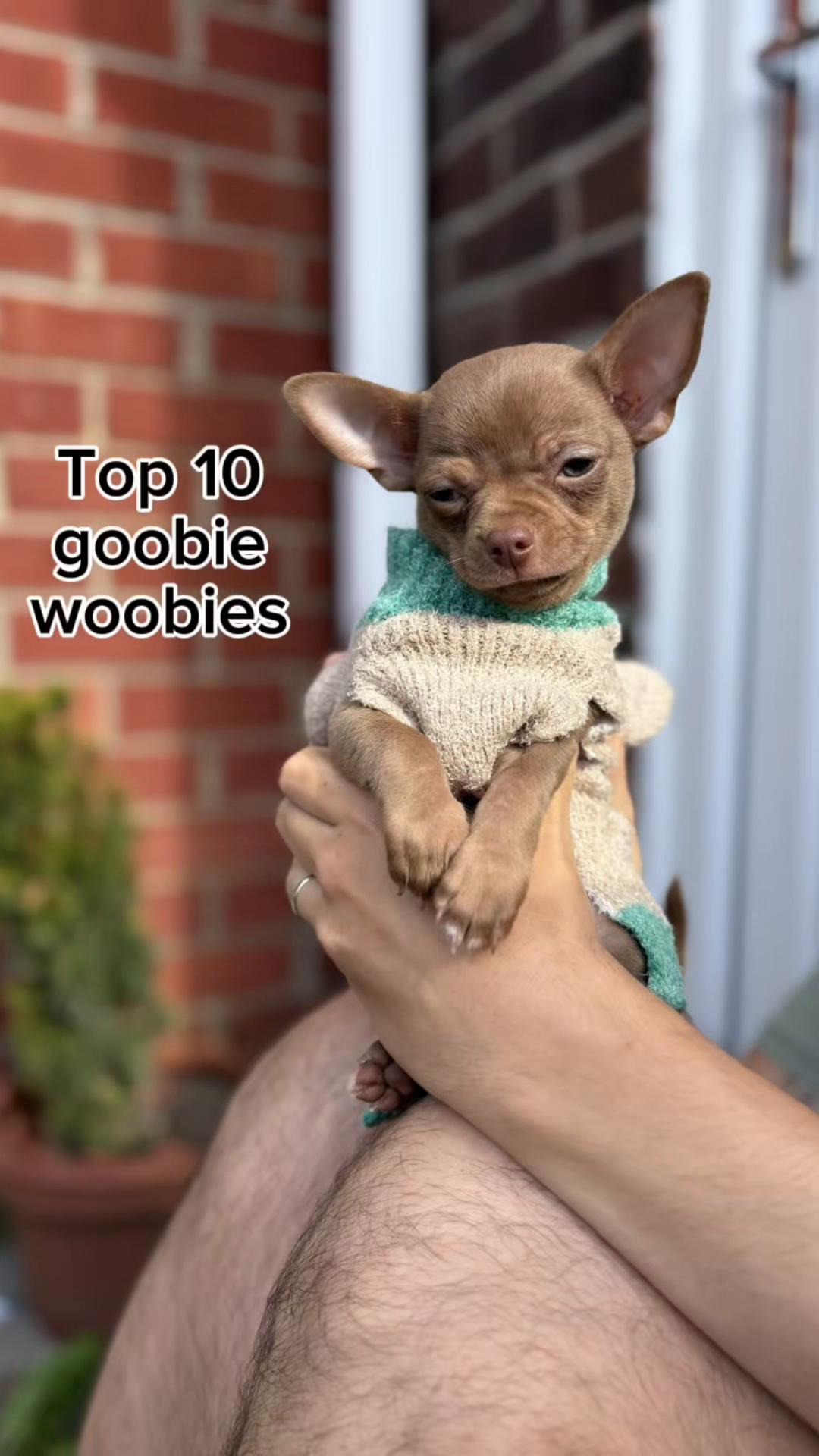 @Merlin