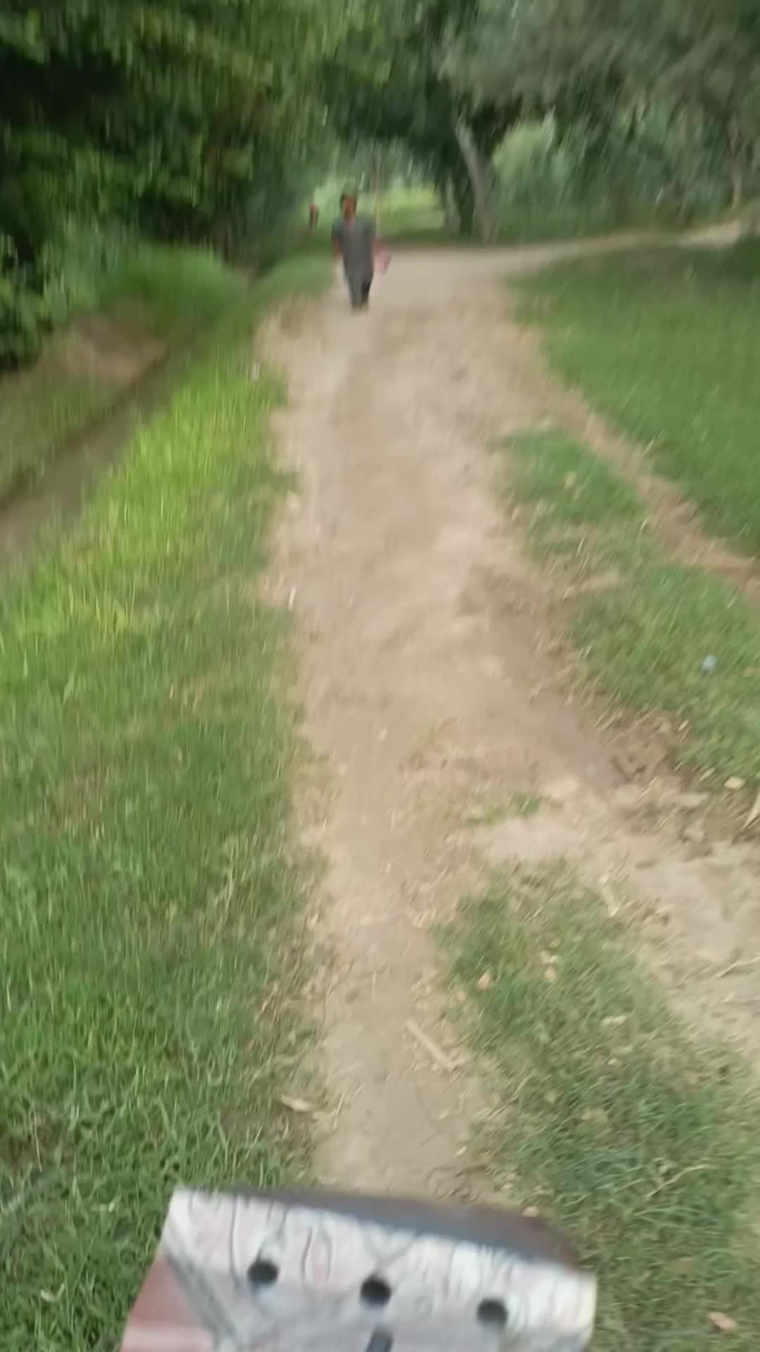 @گُڈو بادشاہ