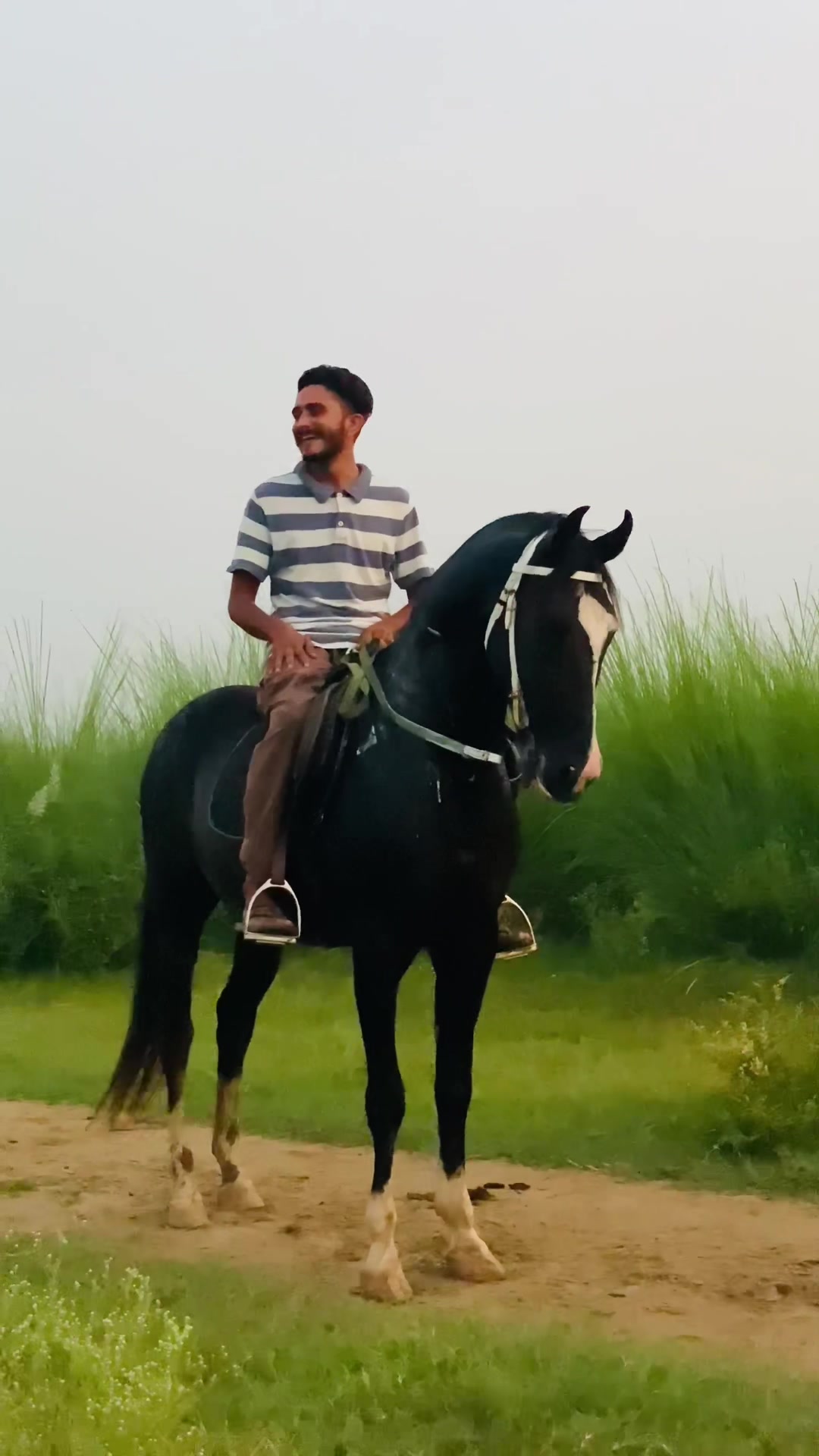 @Ch Hammad bokan &hearts;️🐎