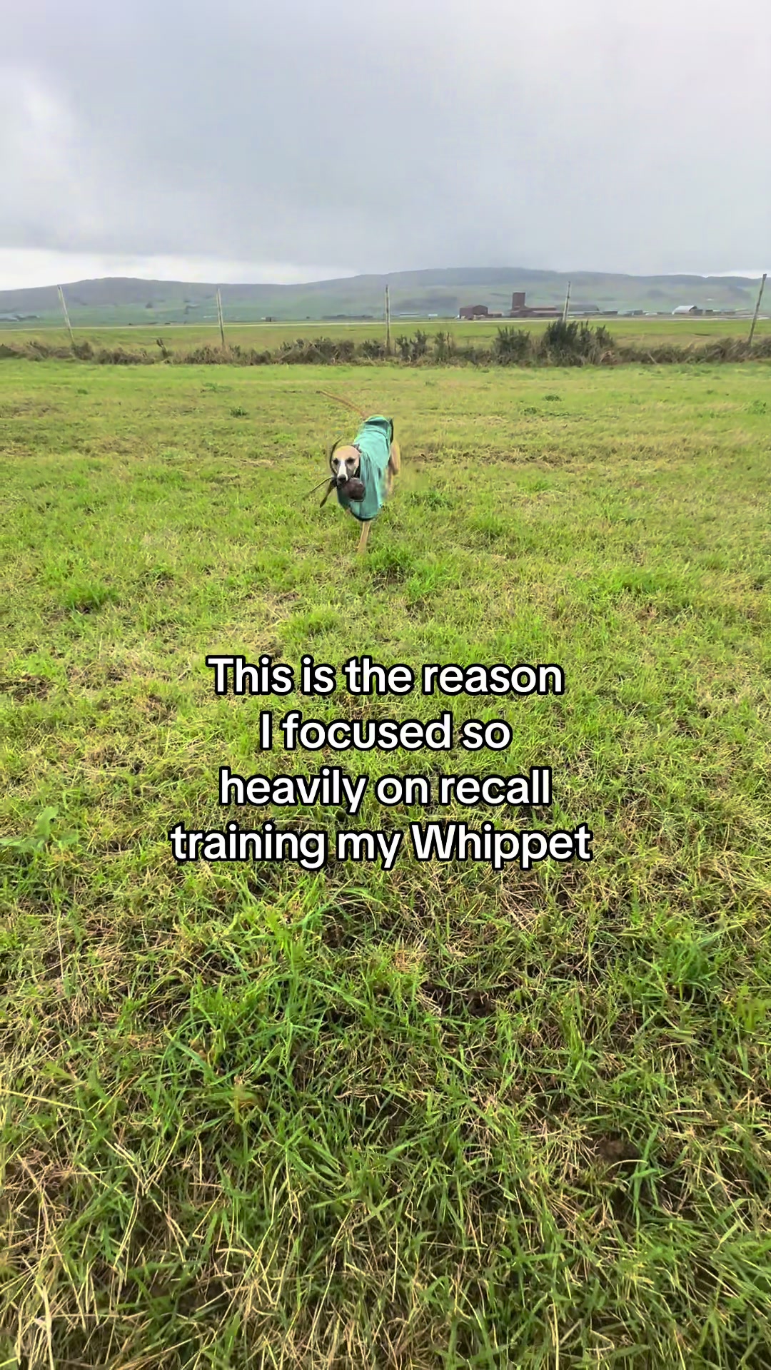 @Rach ๐ฆ