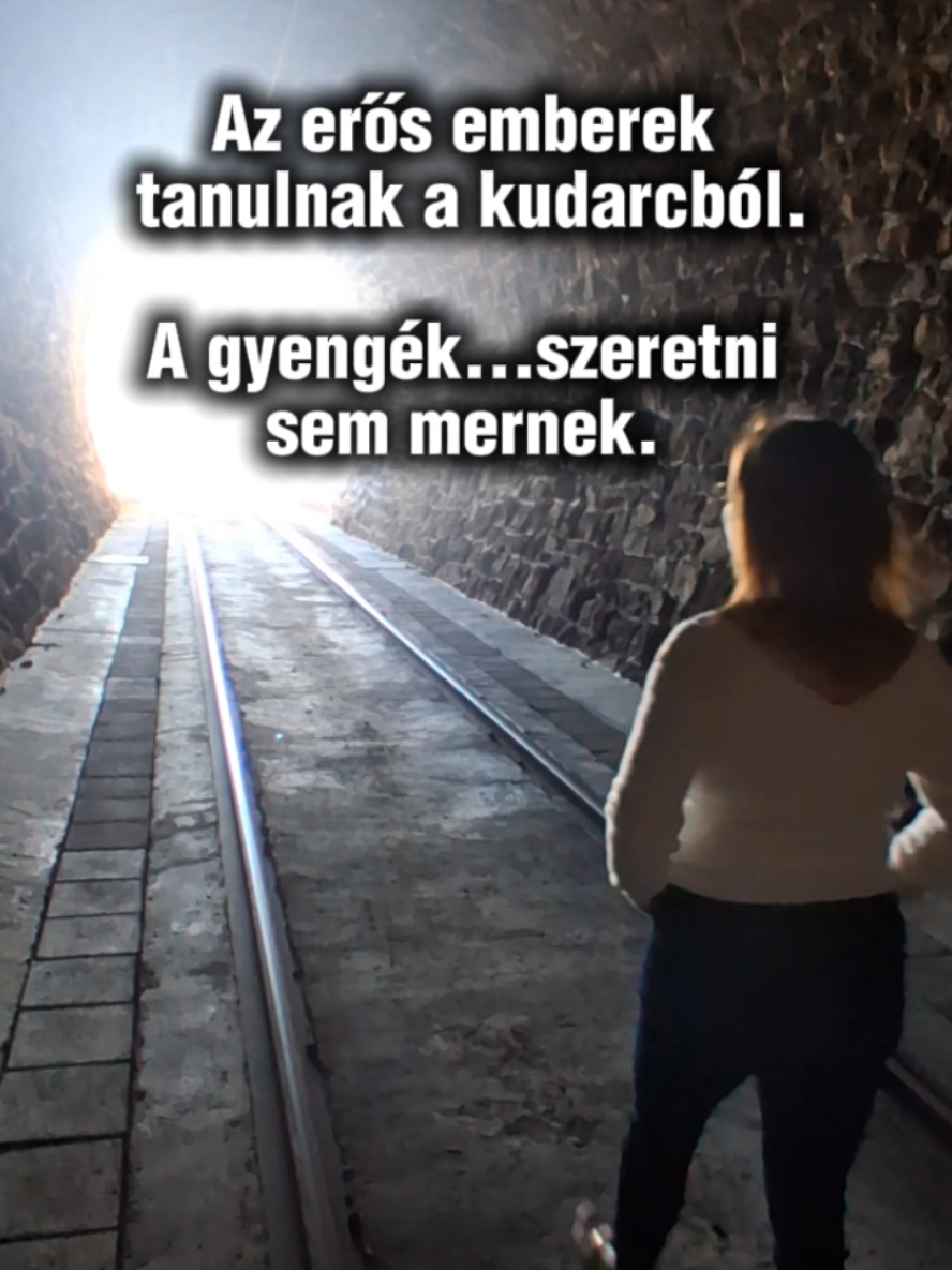 @Husonyicza Nikoletta